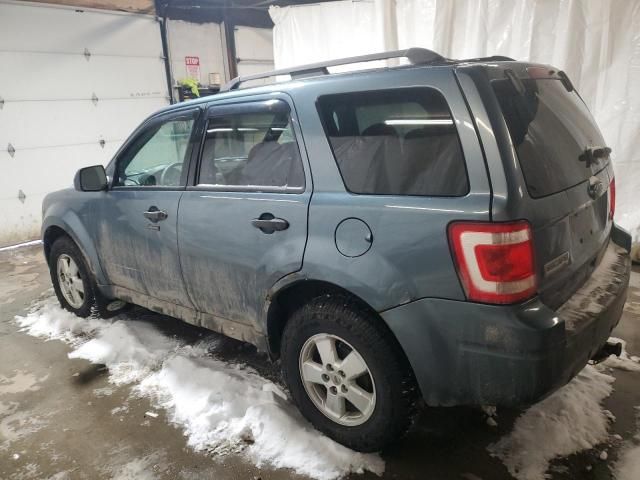 2010 Ford Escape XLT