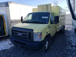 Salvage cars for sale at Avon, MN auction: 2019 Ford Econoline E450 Super Duty Cutaway Van