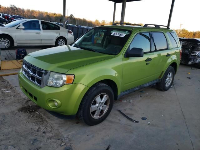 2011 Ford Escape XLT