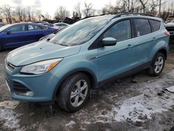 Ford Escape salvage cars for sale: 2013 Ford Escape SE