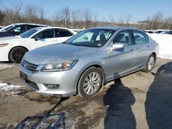 Salvage cars for sale at Marlboro, NY auction: 2014 Honda Accord EXL