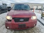 2007 Ford Escape Limited