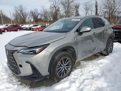 Vehiculos salvage en venta de Copart Marlboro, NY: 2023 Lexus NX 350