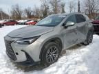 2023 Lexus NX 350