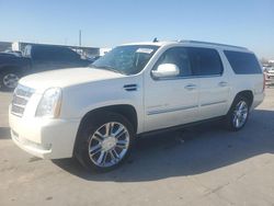 2011 Cadillac Escalade ESV Platinum en venta en Grand Prairie, TX