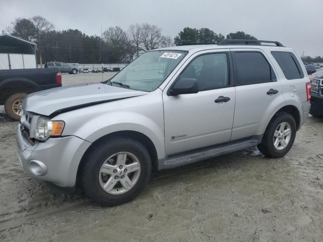 2009 Ford Escape Hybrid