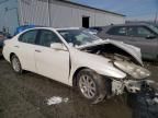 2004 Lexus ES 330