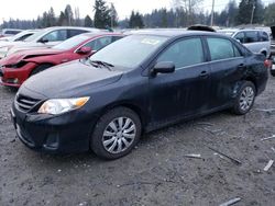 Toyota Corolla salvage cars for sale: 2013 Toyota Corolla Base