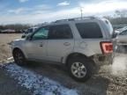 2008 Ford Escape Limited