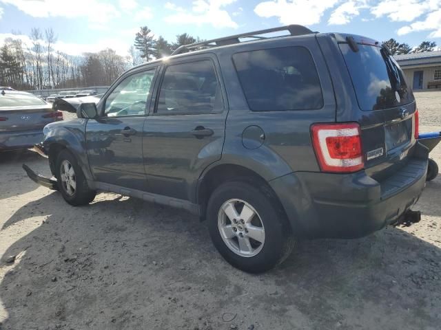 2009 Ford Escape XLT