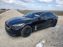 Salvage cars for sale at Temple, TX auction: 2019 KIA Stinger