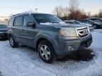 2011 Honda Pilot