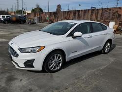 Salvage cars for sale at Wilmington, CA auction: 2019 Ford Fusion SE