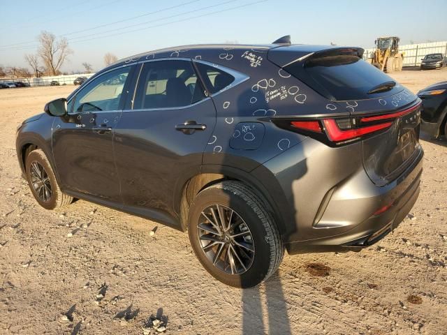 2024 Lexus NX 350 Premium