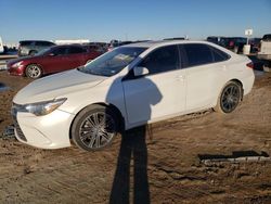 Salvage cars for sale at Amarillo, TX auction: 2016 Toyota Camry LE