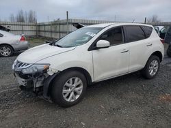 Nissan salvage cars for sale: 2014 Nissan Murano S