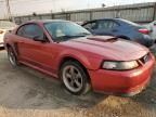 2001 Ford Mustang GT