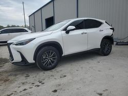 Salvage cars for sale at auction: 2024 Lexus NX 250 Premium