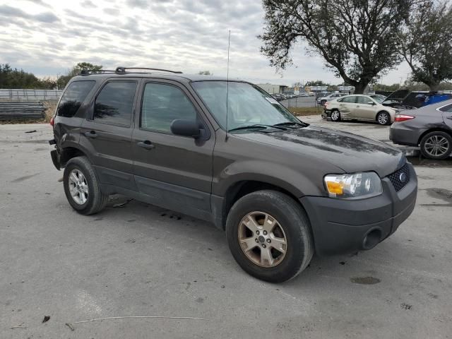 2007 Ford Escape XLT