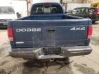 2002 Dodge Dakota Base