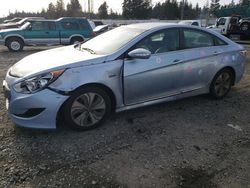 Salvage cars for sale at Graham, WA auction: 2013 Hyundai Sonata Hybrid