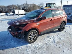 Salvage cars for sale from Copart Ham Lake, MN: 2019 Ford Escape SE