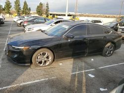 Salvage cars for sale at Rancho Cucamonga, CA auction: 2024 Honda Accord EX