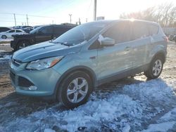 Salvage cars for sale at Oklahoma City, OK auction: 2013 Ford Escape SE