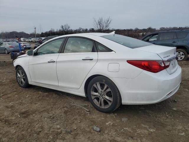 2011 Hyundai Sonata SE