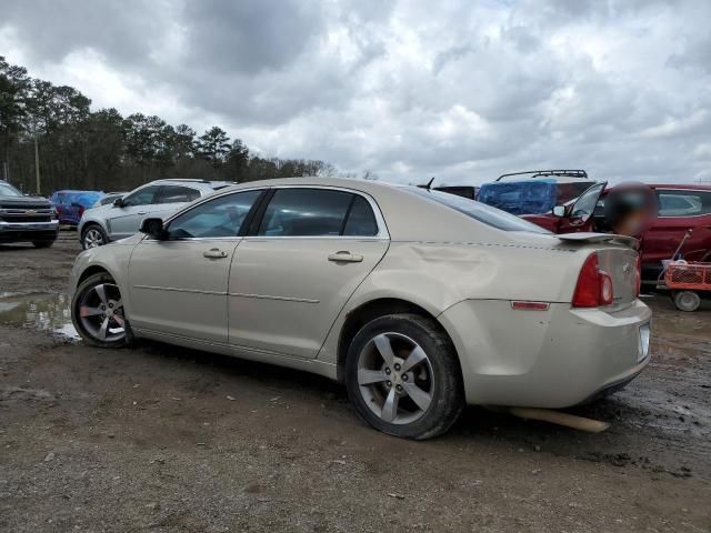 2011 Chevrolet Malibu 1LT