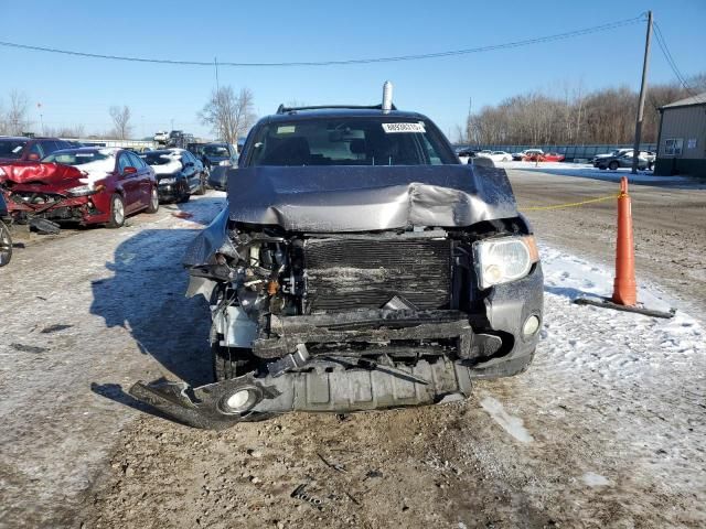 2009 Ford Escape XLT