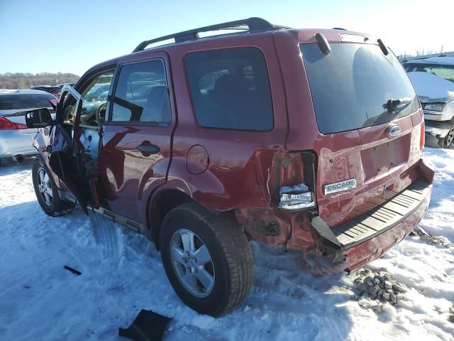 2010 Ford Escape XLT