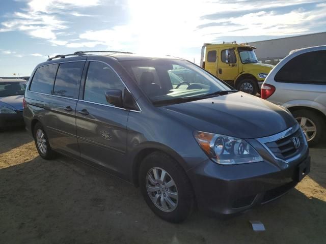 2010 Honda Odyssey EXL