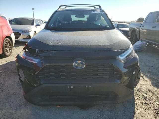 2023 Toyota Rav4 XLE Premium