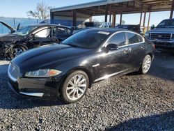 Salvage cars for sale from Copart Riverview, FL: 2013 Jaguar XF