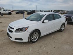 Salvage cars for sale at New Braunfels, TX auction: 2013 Chevrolet Malibu 1LT