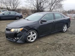 Salvage cars for sale at Baltimore, MD auction: 2013 Toyota Camry L