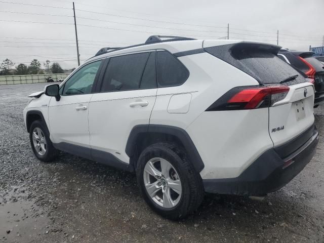 2019 Toyota Rav4 XLE