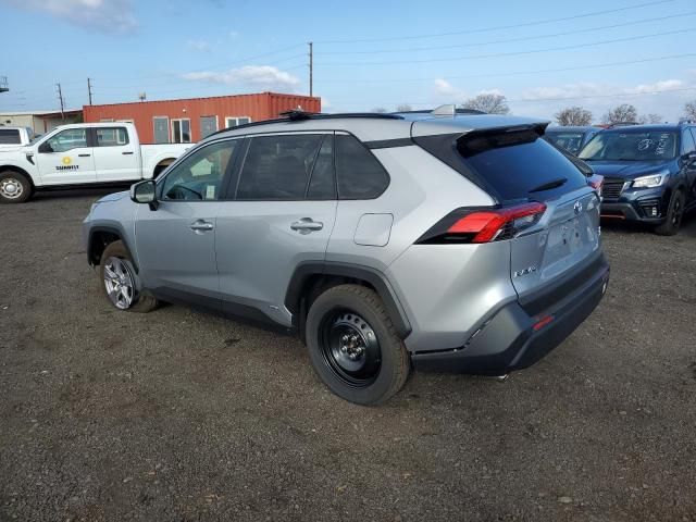 2024 Toyota Rav4 XLE