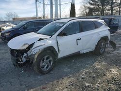 Salvage cars for sale at Windsor, NJ auction: 2024 Hyundai Tucson SEL