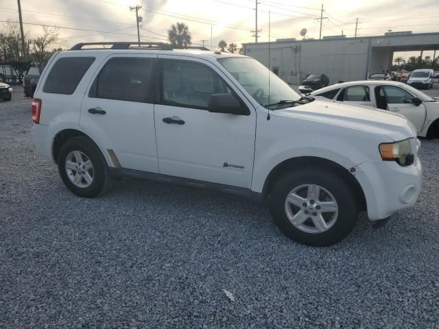 2010 Ford Escape Hybrid