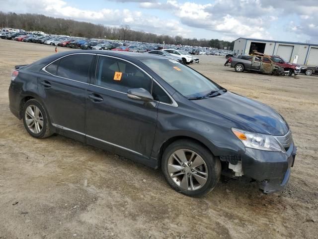 2010 Lexus HS 250H