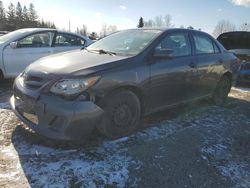 2011 Toyota Corolla Base en venta en Bowmanville, ON