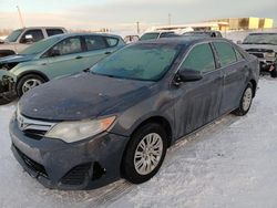 Salvage cars for sale at Anchorage, AK auction: 2014 Toyota Camry L