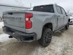 2024 Chevrolet Silverado K1500 LT Trail Boss