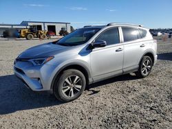 Toyota salvage cars for sale: 2018 Toyota Rav4 Adventure