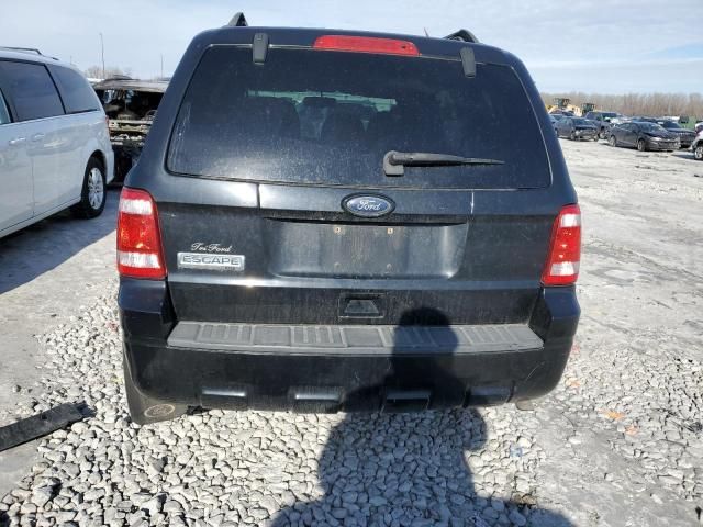 2010 Ford Escape XLT