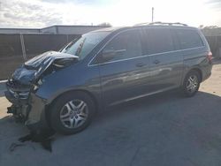 Honda Vehiculos salvage en venta: 2006 Honda Odyssey EXL