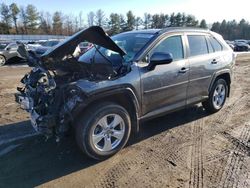 Salvage cars for sale at Finksburg, MD auction: 2021 Toyota Rav4 XLE