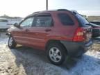 2005 KIA New Sportage